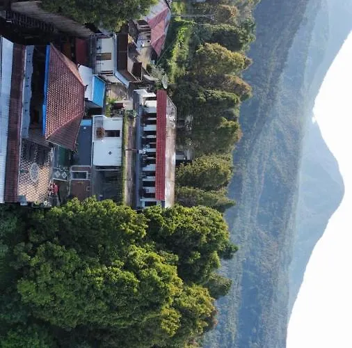 Adila Warung And Gasthof Munduk